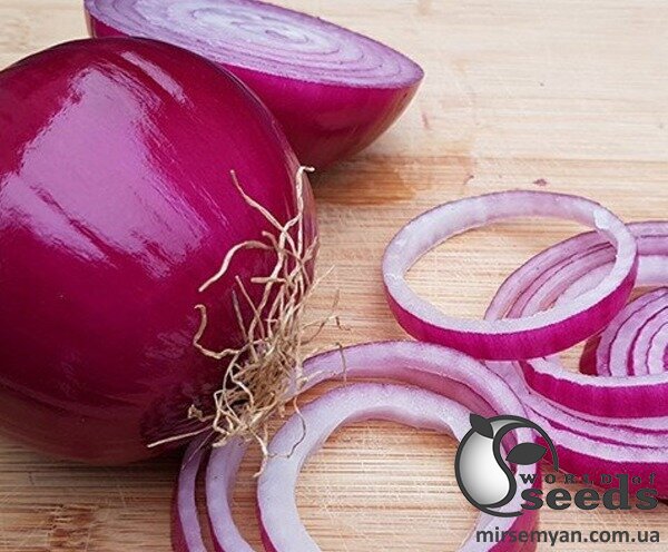 Лук Монастрел F1 250 000 семян. (Enza Zaden) Лук Монастрел F1 250 000 семян. (Enza Zaden)