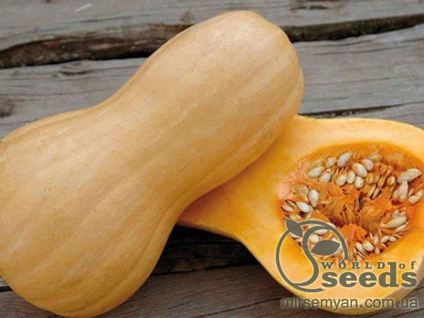 Тыква Матильда F1 500 семян. (Enza Zaden) Тыква Матильда F1 500 семян. (Enza Zaden)