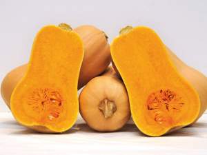 Гарбуз Ханна F1,  500 семян. (Enza Zaden)