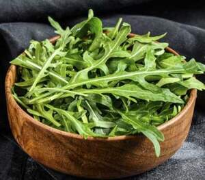 Рукола Грация 100 000 семян. (Enza Zaden)