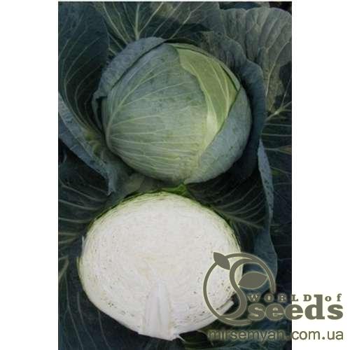 Капуста Центурион F1 10 000 семян. (Clause) Капуста Центурион F1 10 000 семян. (Clause)