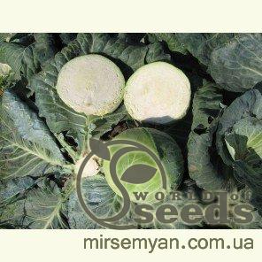 Капуста Капорал F1 10 000 семян. (Clause) Капуста Капорал F1 10 000 семян. (Clause)