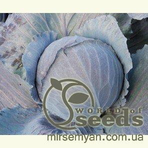 Капуста Редской  F1 2500 семян. (Clause) Капуста Редской  F1 2500 семян. (Clause)