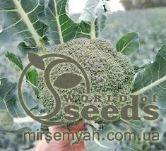 Капуста брокколи Корос F1 2500 семян. (Clause) Капуста брокколи Корос F1 2500 семян. (Clause)