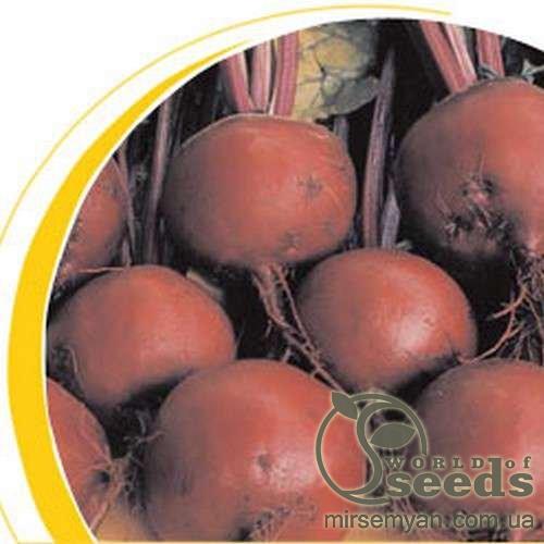 Свекла Бонел 10 кг. (Hazera) Свекла Бонел 10 кг. (Hazera)