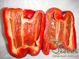 Перец Екла 500 семян. (Syngenta) Перец Екла 500 семян. (Syngenta)