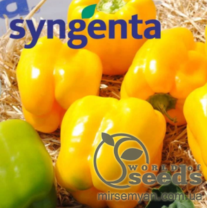 Перец Люмос 500 семян. (Syngenta)