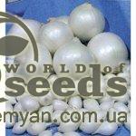 Лук саженка Комет (Голландия) (белый), 0,5 кг Лук саженка Комет (Голландия) (белый), 0,5 кг