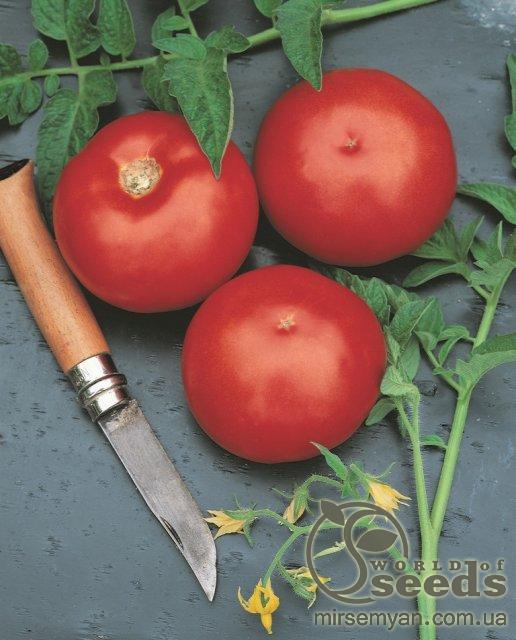 Помидоры Ольга F1 1000 семян. (Hazera)ra Помидоры Ольга F1 1000 семян. (Hazera)ra