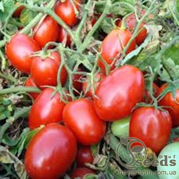 Томат Диадема F1 1000 семян. (Hazera) Томат Диадема F1 1000 семян. (Hazera)