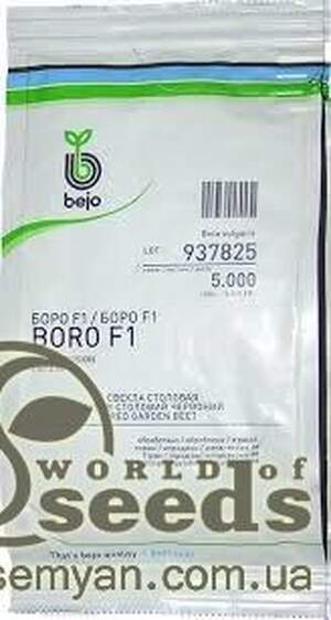 Свекла  Боро/Boro F1 5 000 семян. (Bejo)