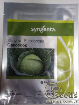 Капуста Саксесор F1 2500 семян. (Syngenta) Капуста Саксесор F1 2500 семян. (Syngenta)