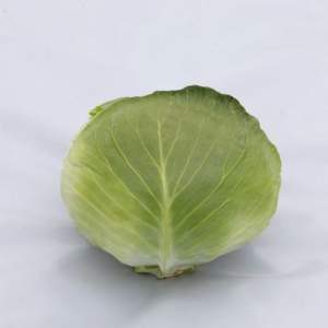 Капуста Саксесор  F1 2500 семян. (Syngenta) Капуста Саксесор  F1 2500 семян. (Syngenta)