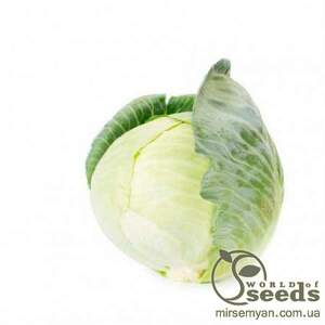 Капуста Корсума F1 20 семян. А Капуста Корсума F1 20 семян. А