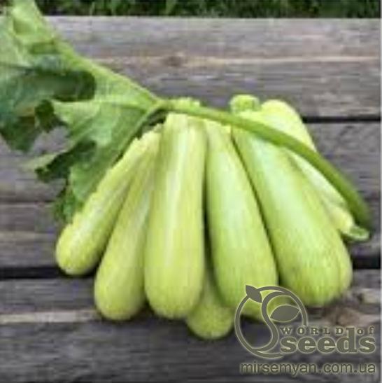 Кабачок Марселла F1 5 cемян. А Кабачок Марселла F1 5 cемян. А
