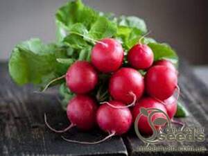 Редис Стеллар F1 10г А Редис Стеллар F1 10г А