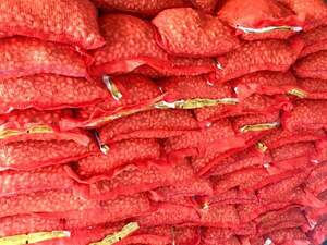 Лук севок озимый Августа, (Augusta)? 10 кг Лук севок озимый Августа, (Augusta)? 10 кг