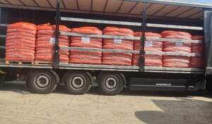 Лук севок Гледстоун / Gladctone 0.5кг Netherlands Лук севок Гледстоун / Gladctone 0.5кг Netherlands