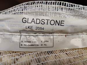 Лук севок озимый Гледстоун / Gladctone 10 кг Netherlands