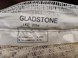 Лук севок озимый Гледстоун / Gladctone 10 кг Netherlands Лук севок озимый Гледстоун / Gladctone 10 кг Netherlands