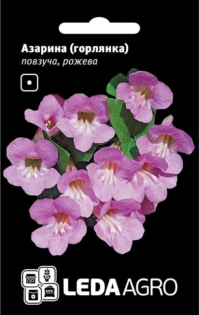 Азарина (горлянка) ползучая, розовая 4 семян. L Азарина (горлянка) ползучая, розовая 4 семян. L