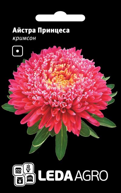 Астра Принцесса крымсон хризантемовидная 0,2г. L Астра Принцесса крымсон хризантемовидная 0,2г. L