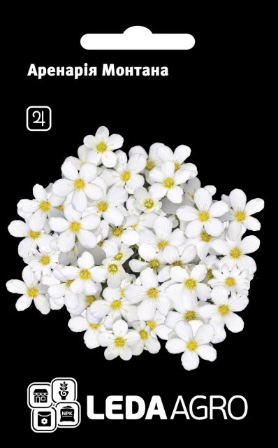 Аренария Монтана 0,02г. L Аренария Монтана 0,02г. L