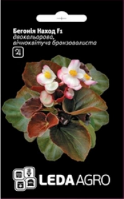 Бегония Наход F1 двухцветная бронзолистая 10 семян. L Бегония Наход F1 двухцветная бронзолистая 10 семян. L