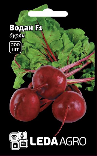 Свекла Водан F1 200 семян. L Свекла Водан F1 200 семян. L