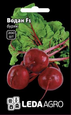 Свекла Водан F1 200 семян.  L Свекла Водан F1 200 семян.  L
