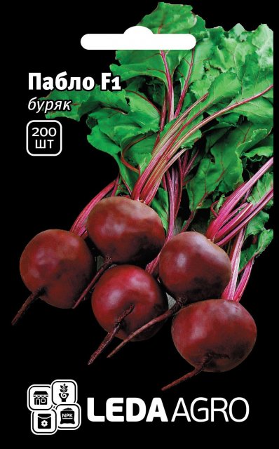 Свекла Пабло F1 200 семян. L Свекла Пабло F1 200 семян. L
