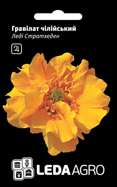 Гравилат Леди Стратхеден 0,1г. L Гравилат Леди Стратхеден 0,1г. L