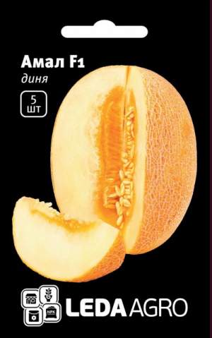 Дыня Амал F1 5 семян. L Дыня Амал F1 5 семян. L