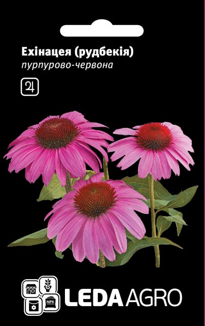 Эхинацея (пурпур-червь) 0,1г. L Эхинацея (пурпур-червь) 0,1г. L