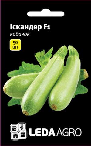 Кабачок Искандер F1 50 семян. L