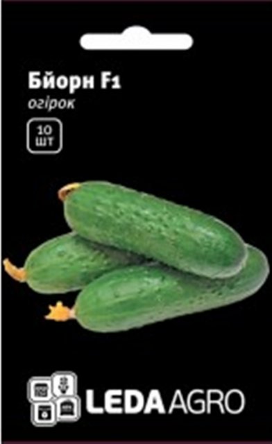 Огурец Бьорн F1 10 семян. L Огурец Бьорн F1 10 семян. L