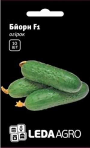 Огурец Бьорн F1 10 семян.  L