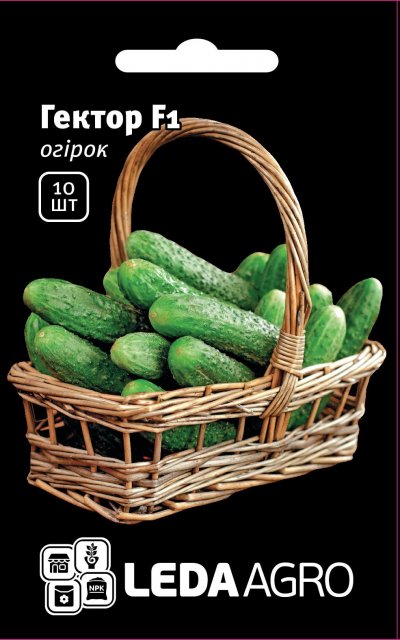 Огурец Гектор F1 10 семян. L Огурец Гектор F1 10 семян. L