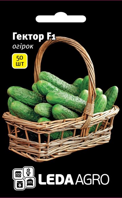 Огурец Гектор F1 50 семян. L Огурец Гектор F1 50 семян. L