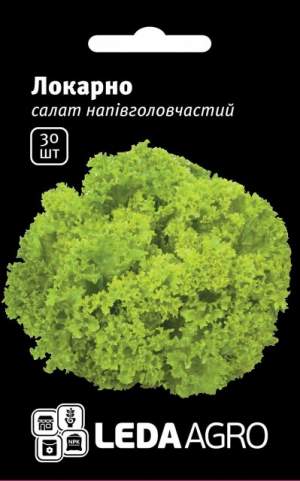 Салат Локарно (кудрявый) 30 семян. L Салат Локарно (кудрявый) 30 семян. L