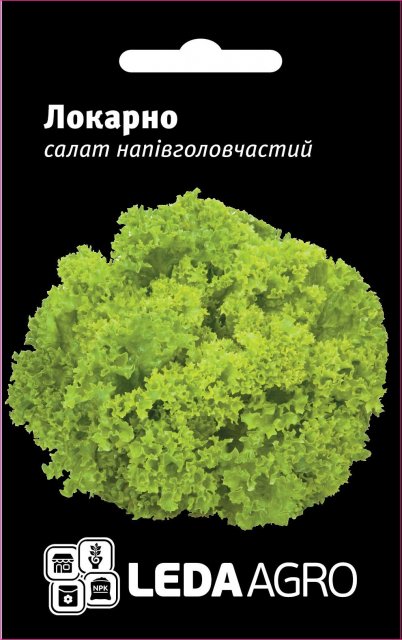 Салат Локарно (Лолло Биондо) 100 семян. L Салат Локарно (Лолло Биондо) 100 семян. L