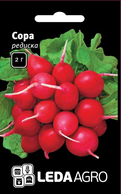 Редис Сора 2гр. L Редис Сора 2гр. L