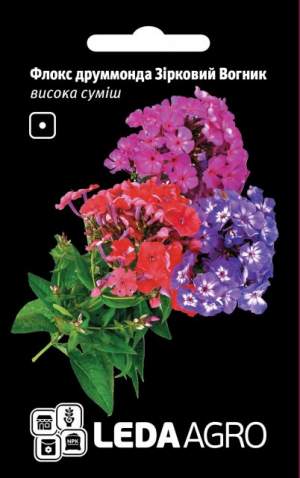 Флокс друмонда Звездный Огонек, 0,2г.  L