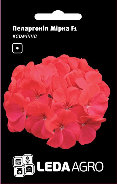 Пеларгония Мирко F1, карминно 5 семян. L Пеларгония Мирко F1, карминно 5 семян. L