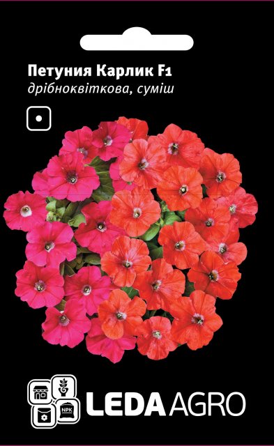 Петуния Карлик F1 (мелкоцветковая смесь) 10 семян. L Петуния Карлик F1 (мелкоцветковая смесь) 10 семян. L