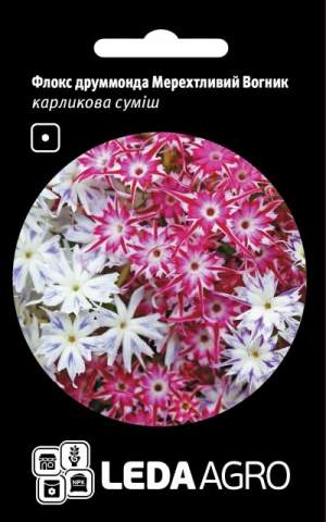 Флокс друмонда Мерцающий Огонек, 0,2г.  L