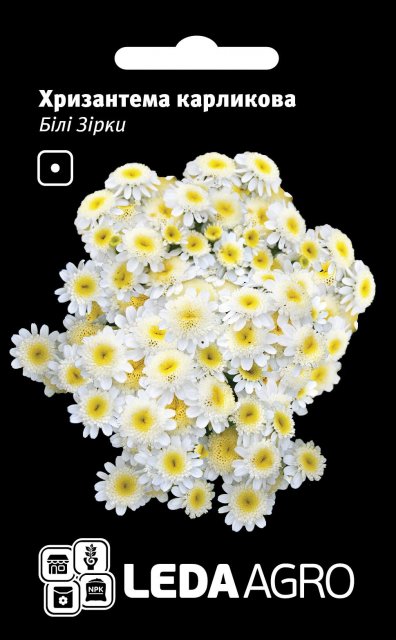 Хризантема Белые Звезды, карликовая 0,2г. L Хризантема Белые Звезды, карликовая 0,2г. L