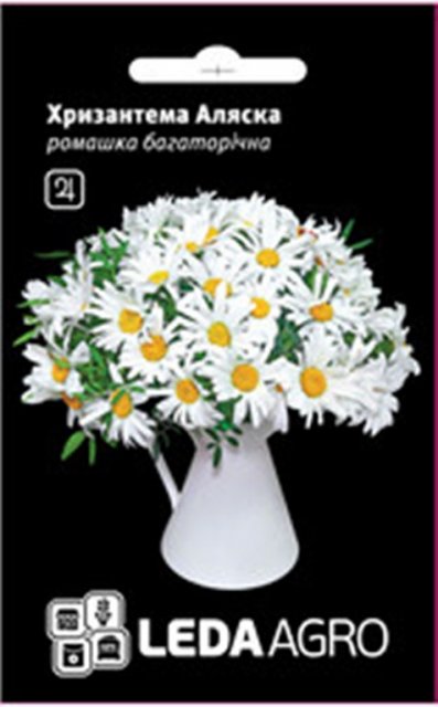 Хризантема Аляска, многоцветная ромашка 0,4г. L Хризантема Аляска, многоцветная ромашка 0,4г. L