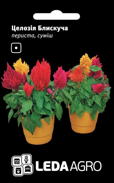 Целозия Блестящая перистая, смесь 0,01г. L Целозия Блестящая перистая, смесь 0,01г. L