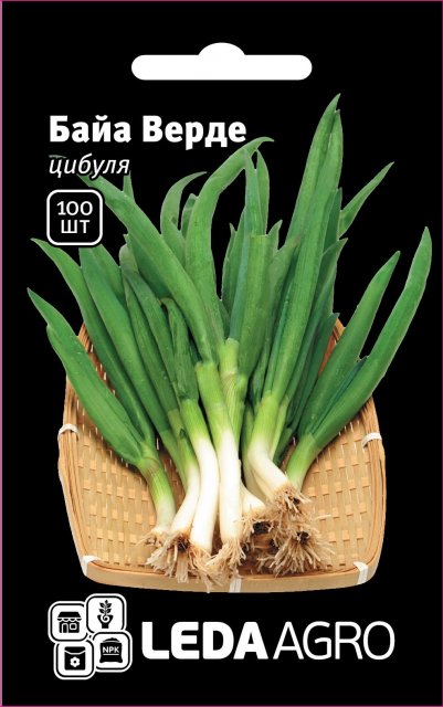 Лук на перо Байа Верде F1 100 семян. L Лук на перо Байа Верде F1 100 семян. L